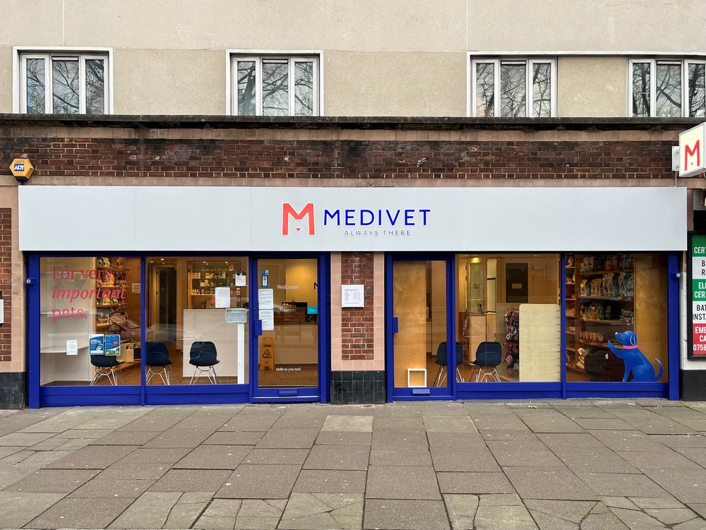 Street view of the practice front on Essex Road, with blue window frames and the waiting area visible through the glass.