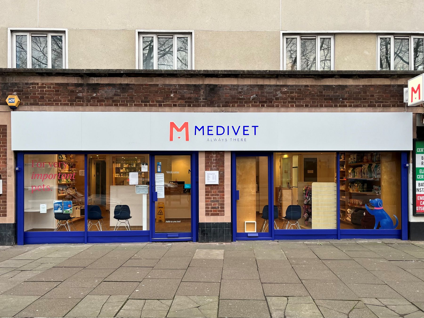 The Medivet Canonbury shopfront at 226-228 Essex Road: a white fascia with the Medivet name, blue-framed windows and the reception visible inside.