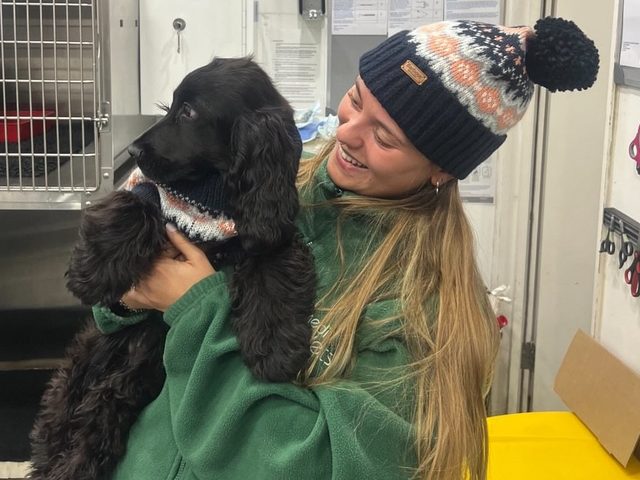Rita Teixeira, registered veterinary nurse, holding a spaniel